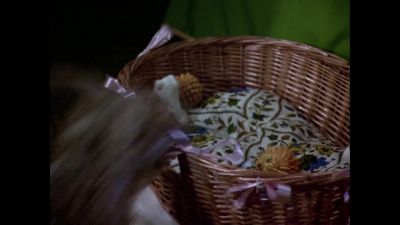 Oh, no, cricket! - The Love Boat