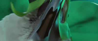 Oh, no, he didn't. - Rio 2