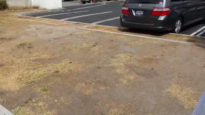 Oh, no,
it used to be right there. - Murder Death Koreatown