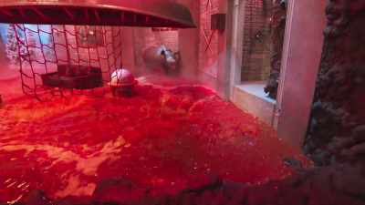 Oh, no! Jugal is down! - Floor Is Lava