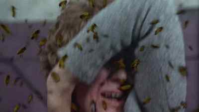 Oh, no! Oh! - The Deadly Bees