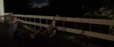 Oh, no! Please! - Bull