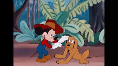 Oh, no, Pluto! - Mickey Down Under