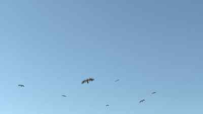Oh, no. - Falling Skies