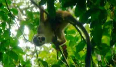 OH, NO! - Man vs. Wild