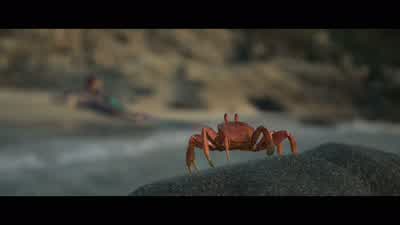 Oh, no. - The Little Mermaid