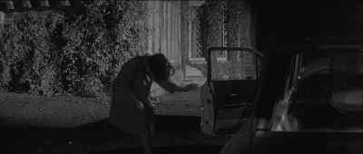 Oh, no! - Curse of the Fly