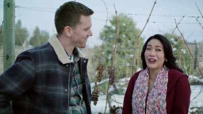 Oh. No! - A Vineyard Christmas