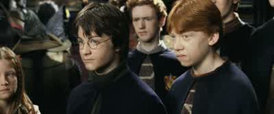 Oh, no! - Harry Potter and the Chamber of Secrets