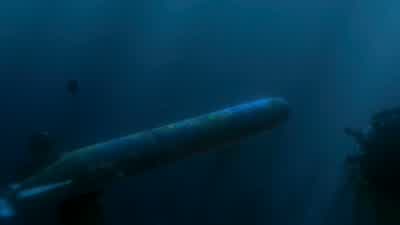 Oh, no. - Finding Nemo