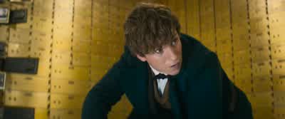 Oh, no. - Fantastic Beasts and Where to Find Them