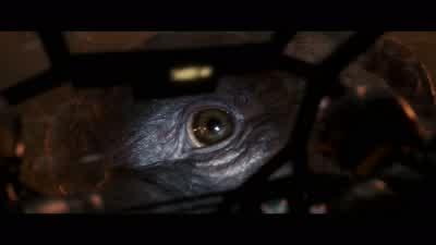 Oh, no. - Godzilla vs  Kong