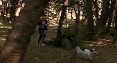 - - Oh, no! - Bridge to Terabithia