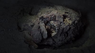 Oh, no! - Bones