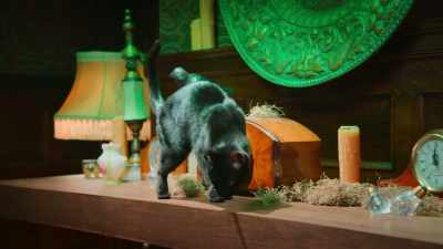 Oh, no time for milk and sardines? - Scaredy Cats