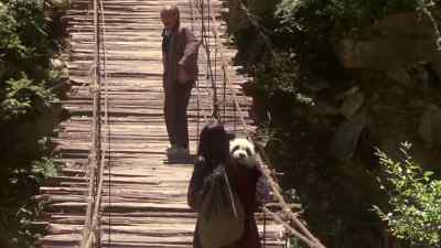 OH...NOT THIS AGAIN. - The Amazing Panda Adventure