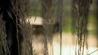 -- Oh, now look, there!
Little place you can sit - Extraordinary Escapes with Sandi Toksvig