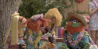 - Oh.
- Oh, album. Yeah, you know what? - The Muppets Mayhem