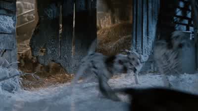 Oh, oh, oh! - 101 Dalmatians