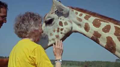 Oh. Oh. - The Woman Who Loves Giraffes