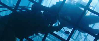 Oh! Oh, shit. Sorry. Sorry. - 47 Meters Down