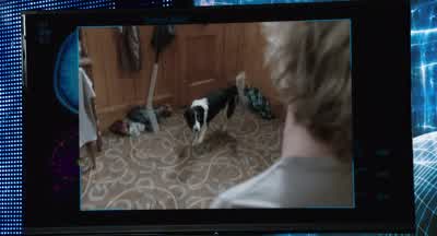 Oh, okay. - Dumb and Dumber To