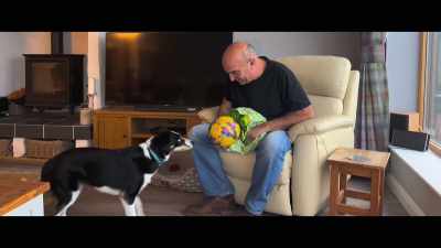 Oh, oooh! - Billy & Molly: An Otter Love Story