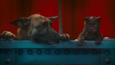 Oh you owe me bigtime dog - Cats &amp; Dogs: The Revenge of Kitty Galore