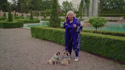 Oh, your photos
of Wilfred and Pebbles - Picture Perfect Romance