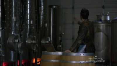 Oh, but remember there was
a ladder in the way. - Chronicle Mysteries: Vines that Bind