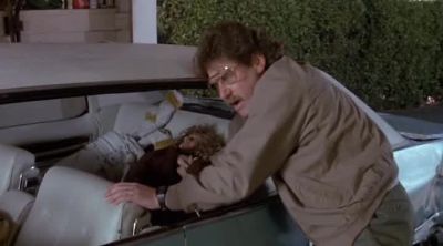 Oh Robert I want you in the backseat with me - License to Drive