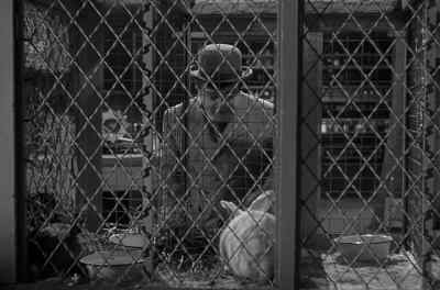Oh. - Abbott and Costello Meet Dr  Jekyll and Mr  Hyde