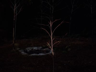 Oh. - Twin Peaks
