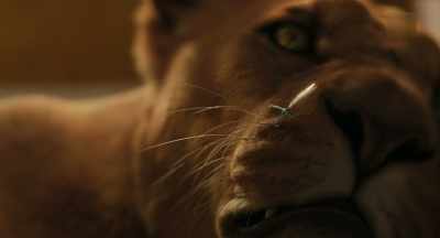 - Oh, sh...
- (growls) - Dolittle