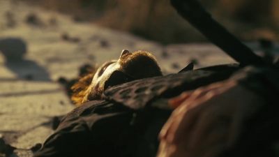 Oh, shit. - Westworld
