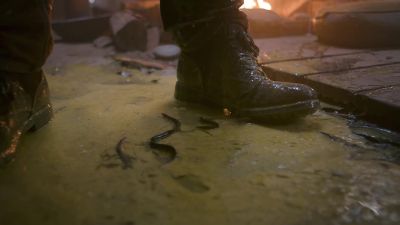 Oh, shit! - Ash vs Evil Dead