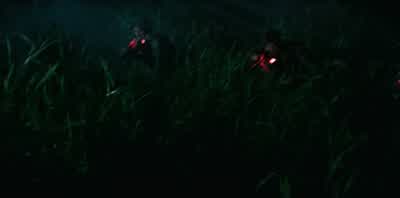 Oh, shit. - Primitive War