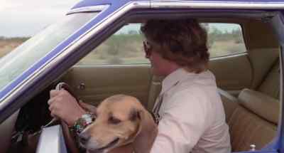 Oh, shit !
Wait a minute.
Wait a minute ! - Used Cars