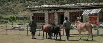 Oh! Singye. Teacher is teaching. - Lunana: A Yak in the Classroom