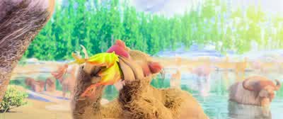 Oh! So itchy! Come on. Let's get you cleaned up. Ahh! - Ice Age: Collision Course
