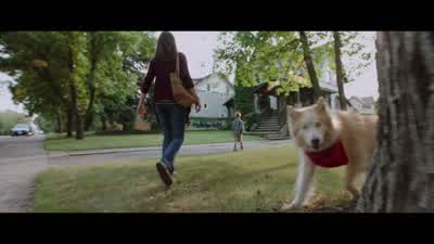 Oh, sorry. - A Dog's Purpose