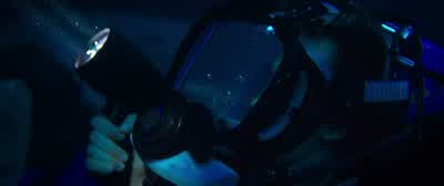 Oh. Spear gun. Oh, god. - 47 Meters Down