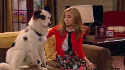 OH, STAN. - Dog with a Blog