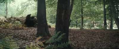 Oh, sure.
Sacrifice the donkey. - Christopher Robin