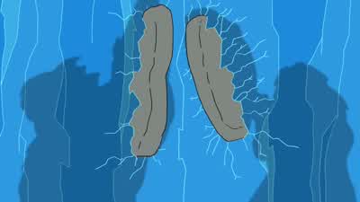 Oh, thank you, thank you. - Futurama