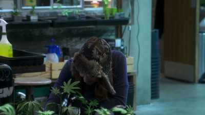 Oh, is that your story?
'Cause here's what I think. - Disjointed