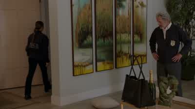 Oh, that was awkward. - NCIS