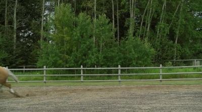 Oh, that's so cool! - Heartland