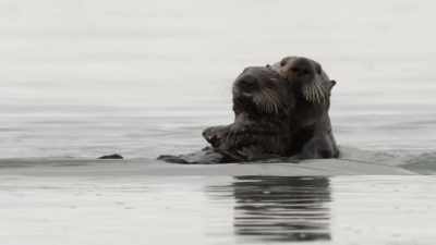 Oh, that's right, this time,
you're gonna smell - When Nature Calls with Helen Mirren