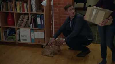 Oh, that's Sam.
I call him Sammy. - Magical Christmas Ornaments